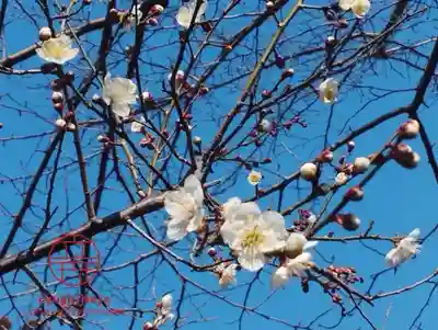 立志神社(滋賀県)