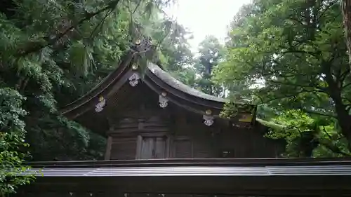 若狭姫神社（若狭彦神社下社）の本殿・本堂