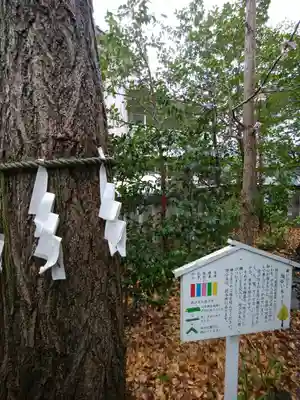 行田八幡神社(埼玉県)