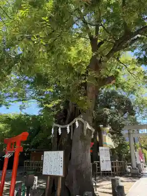 新田神社の{uncategorized: "未分類", other: "その他", undefined: "問題あり", building: "その他建物", grave: "お墓", sacred_gate: "鳥居", guardian: "狛犬", statue: "像", buddha: "仏像", history: "歴史", nature: "自然", garden: "庭園", animal: "動物", pagoda: "塔", temizu: "手水舎", mountain_gate: "山門・神門", sanctuary: "本殿・本堂", subordinate: "末社・摂社", art: "芸術", scenery: "景色", jizo: "地蔵", ema: "絵馬", goshuin: "御朱印", omikuji: "おみくじ", items: "授与品その他", amulet: "お守り", goshuincho: "御朱印帳", eats: "食事", festival: "お祭り", votive_dance: "神楽", shichigosan: "七五三参", wedding: "結婚式", experience: "体験その他", initially: "初詣", around: "周辺", anti_infection: "感染症対策"}
