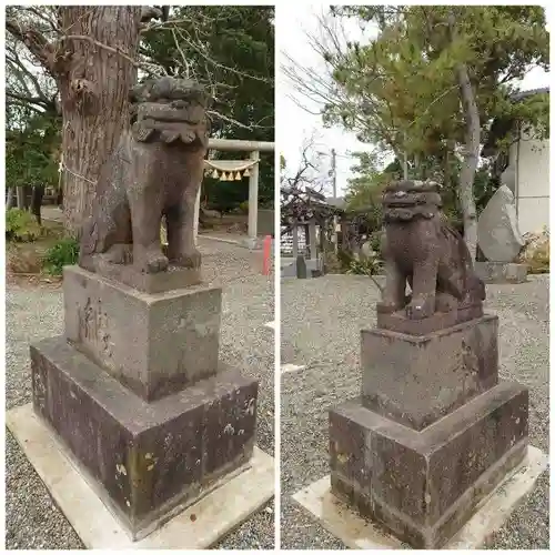 大宮神社の狛犬