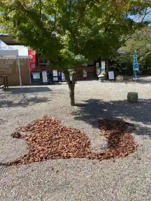 京都乃木神社の周辺