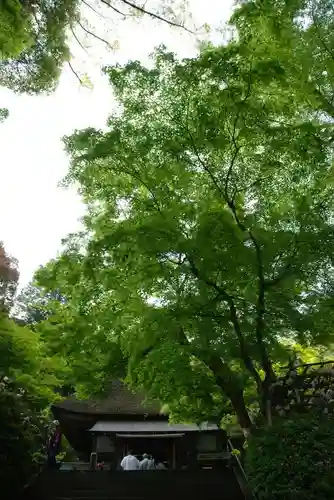 大興善寺(佐賀県)