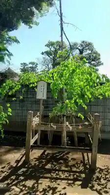一言主神社(茨城県)