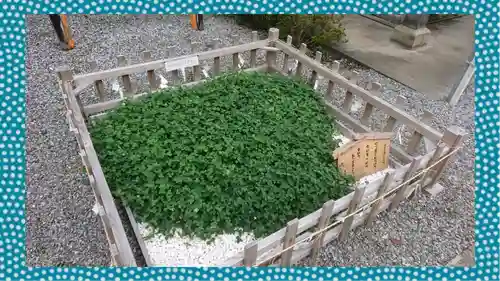 長良神社の庭園