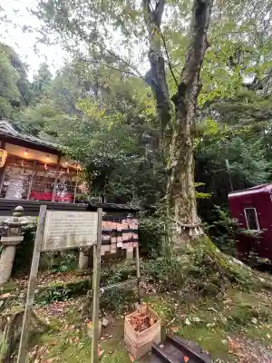 吉川八幡神社(大阪府)
