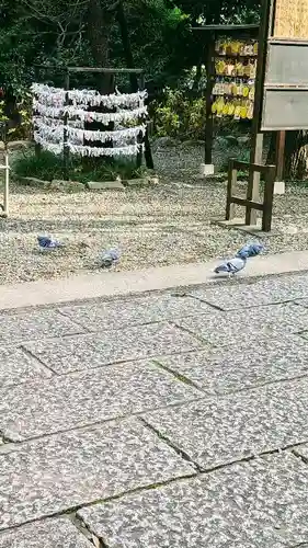 菊田神社の動物