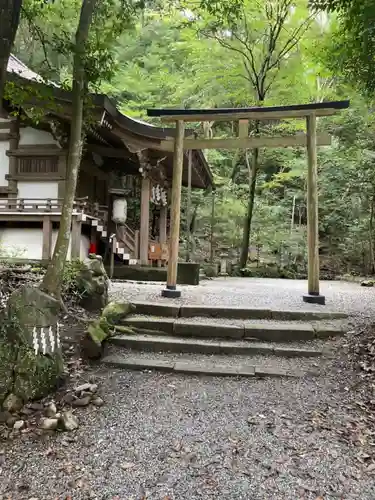 出雲大神宮の鳥居