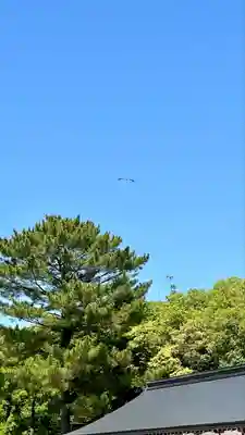 橿原神宮(奈良県)