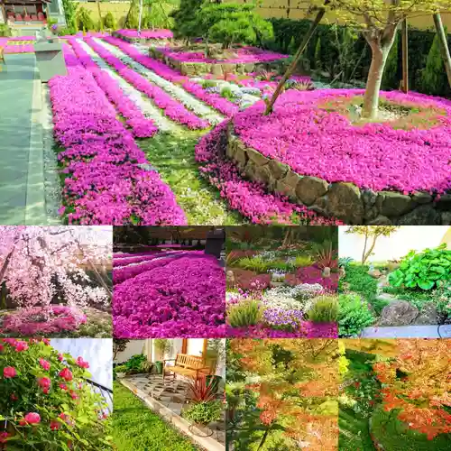 寿量山　速成寺の自然