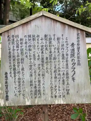青蓮院門跡の{uncategorized: "未分類", other: "その他", undefined: "問題あり", building: "その他建物", grave: "お墓", sacred_gate: "鳥居", guardian: "狛犬", statue: "像", buddha: "仏像", history: "歴史", nature: "自然", garden: "庭園", animal: "動物", pagoda: "塔", temizu: "手水舎", mountain_gate: "山門・神門", sanctuary: "本殿・本堂", subordinate: "末社・摂社", art: "芸術", scenery: "景色", jizo: "地蔵", ema: "絵馬", goshuin: "御朱印", omikuji: "おみくじ", items: "授与品その他", amulet: "お守り", goshuincho: "御朱印帳", eats: "食事", festival: "お祭り", votive_dance: "神楽", shichigosan: "七五三参", wedding: "結婚式", experience: "体験その他", initially: "初詣", around: "周辺", anti_infection: "感染症対策"}