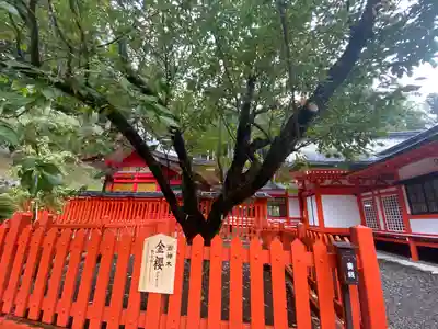 金櫻神社(山梨県)