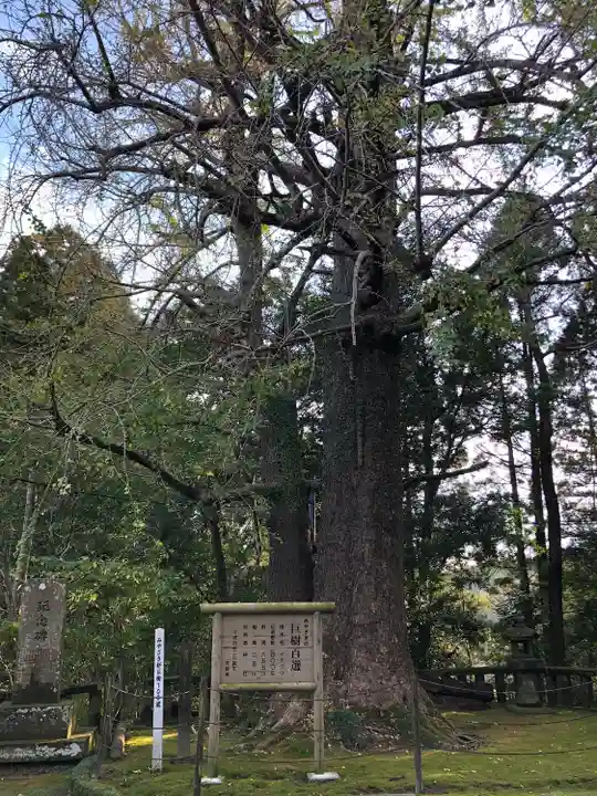 生目神社の自然