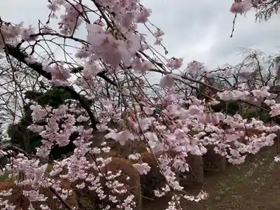 圓藏院(埼玉県)