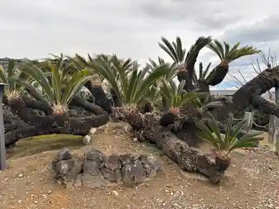 龍華寺(静岡県)