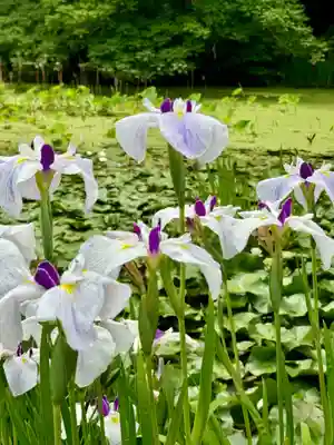 勧修寺(京都府)