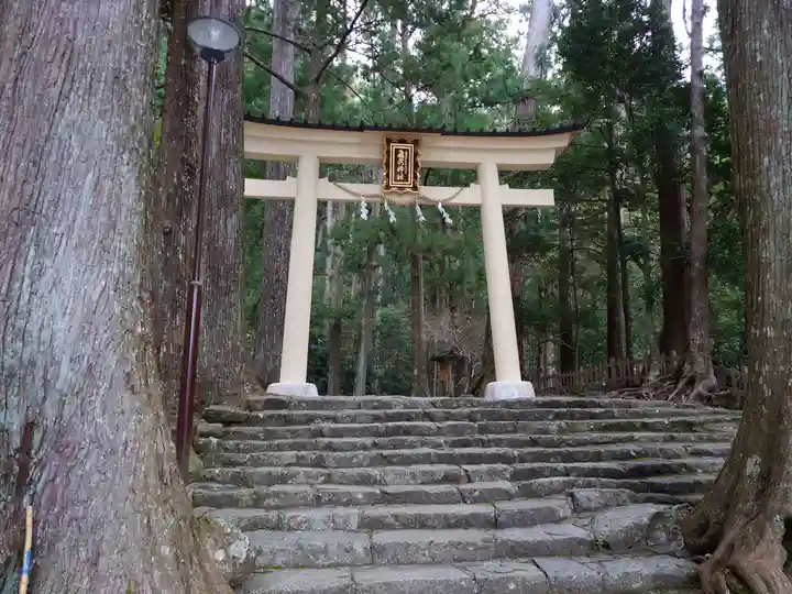 飛瀧神社(熊野那智大社別宮)(和歌山県)