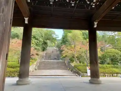 知恩院の山門・神門