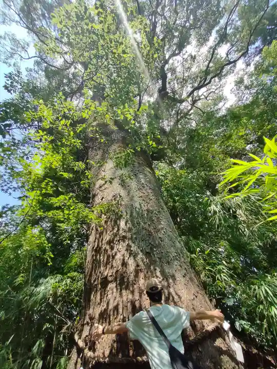 土佐神社の自然