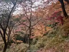 唐澤山神社の自然