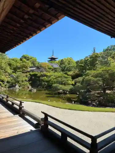 仁和寺の{uncategorized: "未分類", other: "その他", undefined: "問題あり", building: "その他建物", grave: "お墓", sacred_gate: "鳥居", guardian: "狛犬", statue: "像", buddha: "仏像", history: "歴史", nature: "自然", garden: "庭園", animal: "動物", pagoda: "塔", temizu: "手水舎", mountain_gate: "山門・神門", sanctuary: "本殿・本堂", subordinate: "末社・摂社", art: "芸術", scenery: "景色", jizo: "地蔵", ema: "絵馬", goshuin: "御朱印", omikuji: "おみくじ", items: "授与品その他", amulet: "お守り", goshuincho: "御朱印帳", eats: "食事", festival: "お祭り", votive_dance: "神楽", shichigosan: "七五三参", wedding: "結婚式", experience: "体験その他", initially: "初詣", around: "周辺", anti_infection: "感染症対策"}