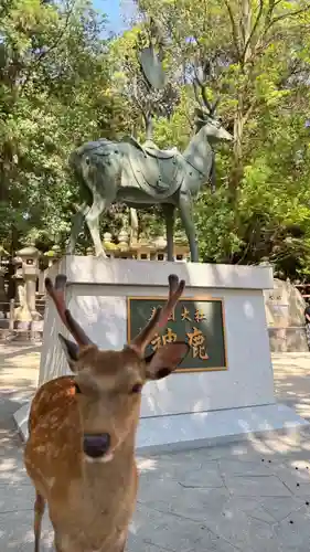 春日大社(奈良県)