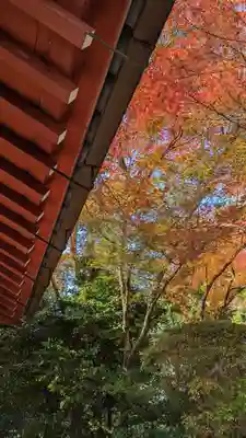常照寺(京都府)