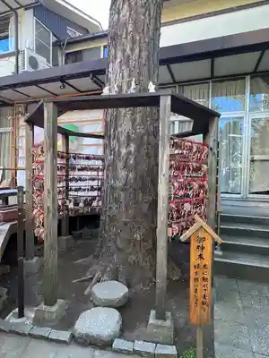 越谷香取神社(埼玉県)
