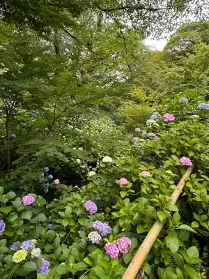 矢田寺(奈良県)