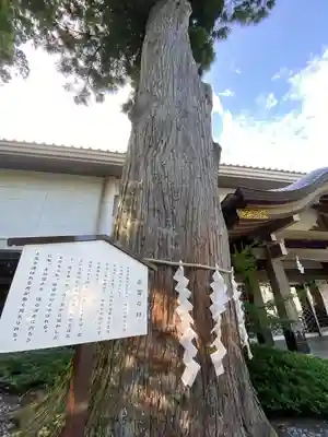 富士山東口本宮 冨士浅間神社(静岡県)