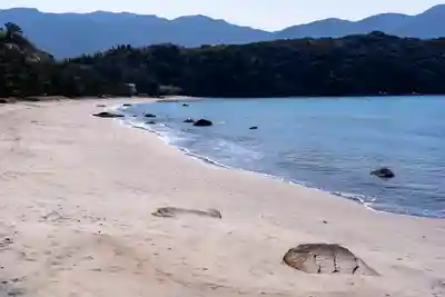 箱島神社(福岡県)