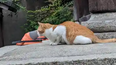 行願寺（革堂）(京都府)