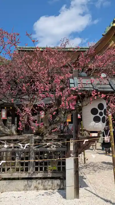 北野天満宮(京都府)