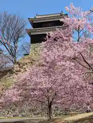 眞田神社の自然