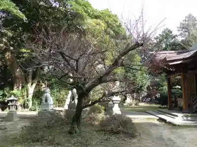 壹宮神社の自然