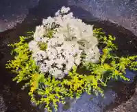 真言宗 善通寺派 薬王寺(香川県)