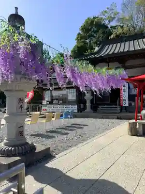 寺岡山元三大師の{uncategorized: "未分類", other: "その他", undefined: "問題あり", building: "その他建物", grave: "お墓", sacred_gate: "鳥居", guardian: "狛犬", statue: "像", buddha: "仏像", history: "歴史", nature: "自然", garden: "庭園", animal: "動物", pagoda: "塔", temizu: "手水舎", mountain_gate: "山門・神門", sanctuary: "本殿・本堂", subordinate: "末社・摂社", art: "芸術", scenery: "景色", jizo: "地蔵", ema: "絵馬", goshuin: "御朱印", omikuji: "おみくじ", items: "授与品その他", amulet: "お守り", goshuincho: "御朱印帳", eats: "食事", festival: "お祭り", votive_dance: "神楽", shichigosan: "七五三参", wedding: "結婚式", experience: "体験その他", initially: "初詣", around: "周辺", anti_infection: "感染症対策"}