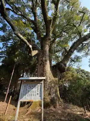 稲佐神社(佐賀県)