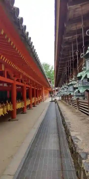 春日大社(奈良県)