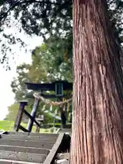 子檀嶺神社(長野県)