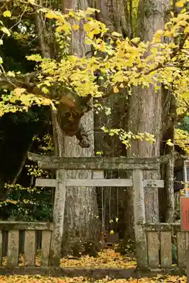 瑞応寺(愛媛県)