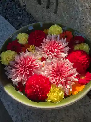 彌都加伎神社(三重県)