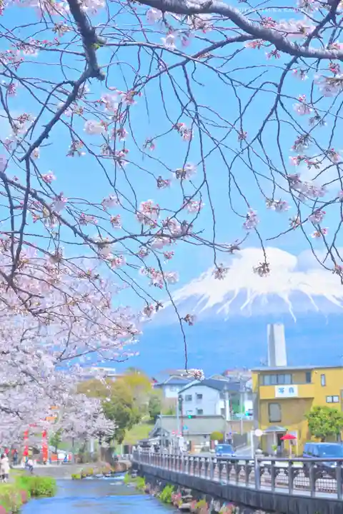 富士山本宮浅間大社(静岡県)