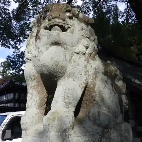 岩屋神社の狛犬