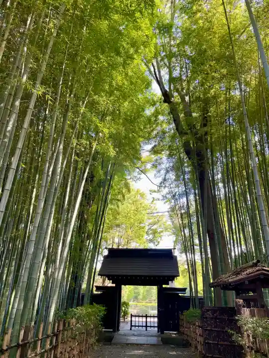 妙光院(東京都)