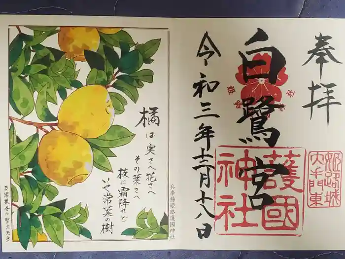 兵庫縣姫路護國神社の御朱印