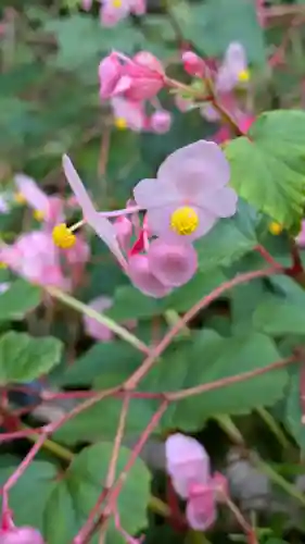 三千院門跡(京都府)