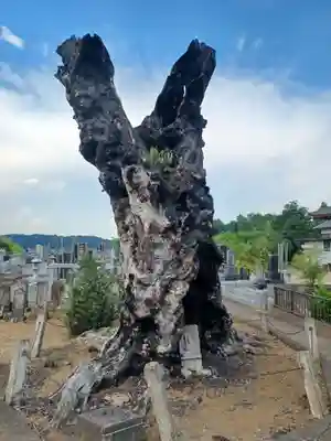 萬松寺(埼玉県)