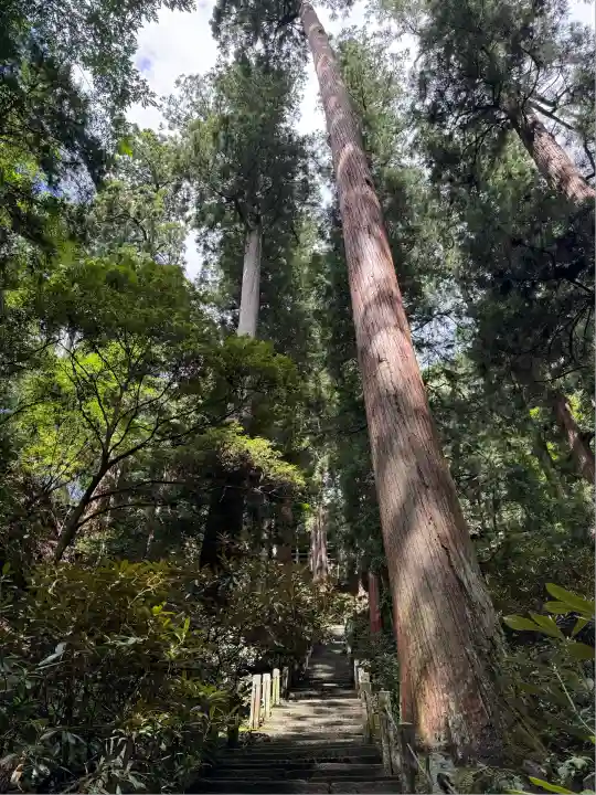 室生寺奥の院(奈良県)
