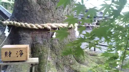 事任八幡宮(静岡県)